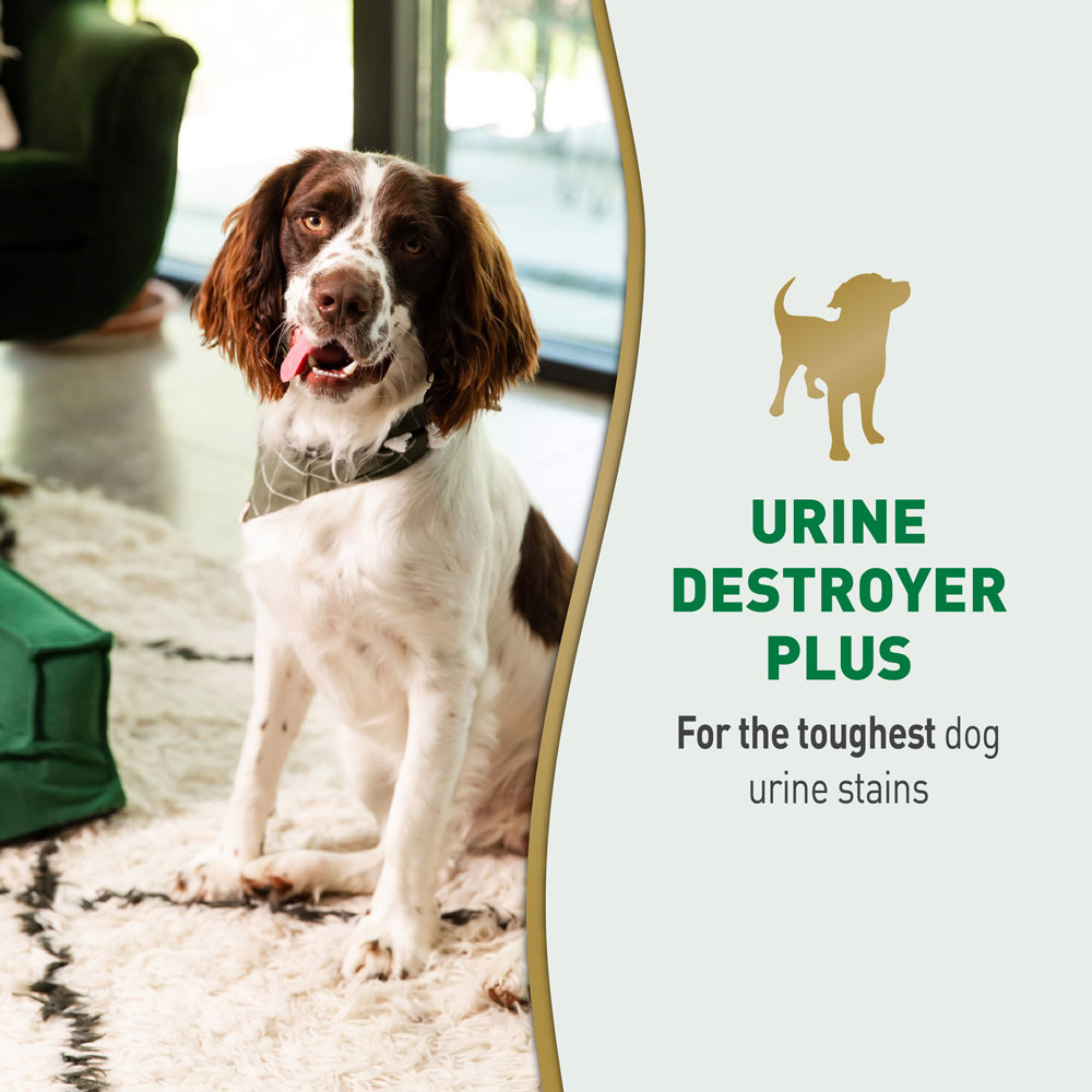 Dog sales urine destroyer